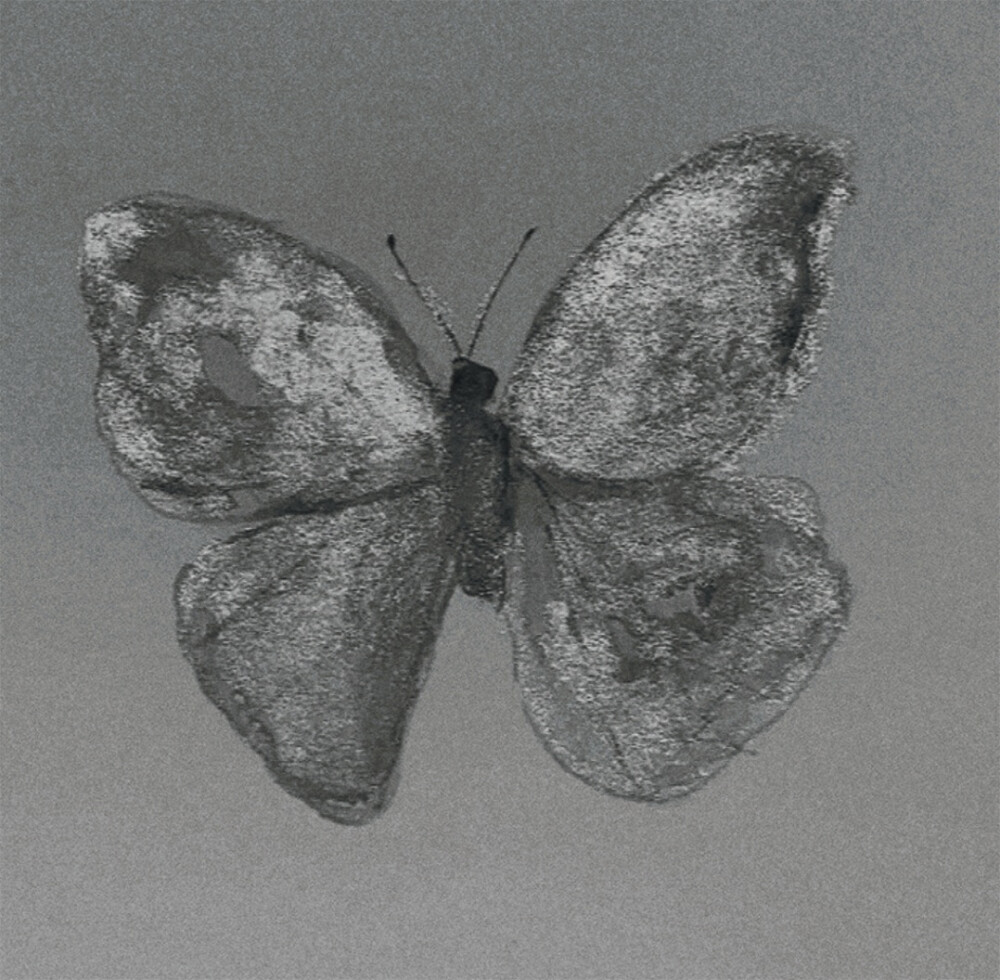 “你无意掀翻烛火 点燃我盛满暮色的双眸”
原截：京椘