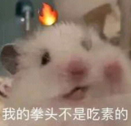 鼠鼠表情包