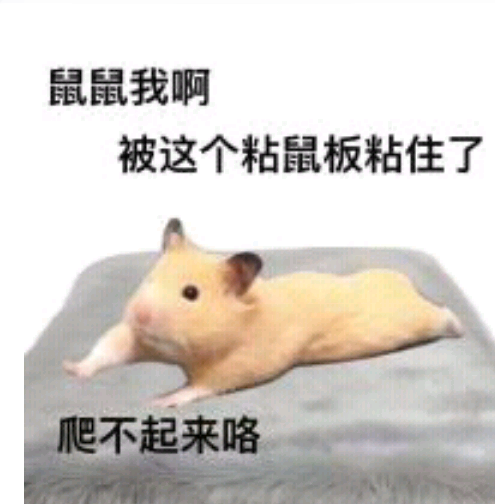 鼠鼠表情包