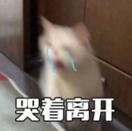 猫猫表情包