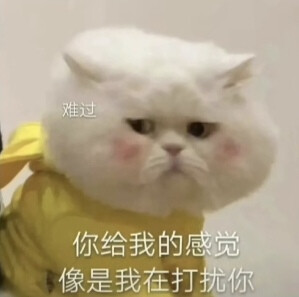 咪咪