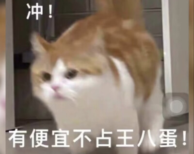 咪咪