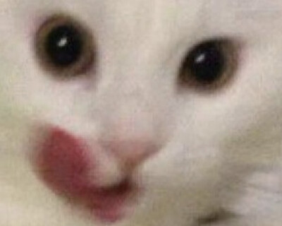 咪咪