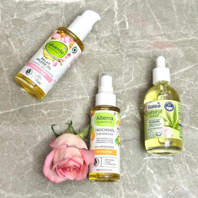 又一波种草好物