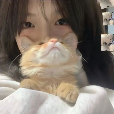 小猫咪