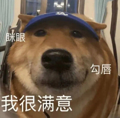 表情包