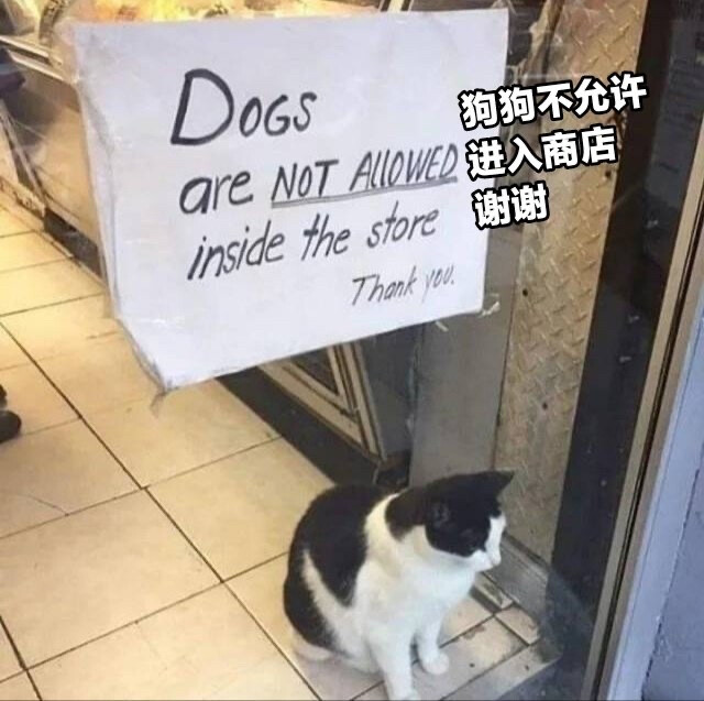 猫猫meme