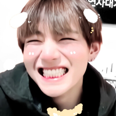  地球上最可爱的狗狗✧૮ ˃̵ ֊ ˂̵ ა