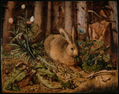 Hans Hoffmann《A Hare in the Forest》，木板油画，62.2×78.4cm，约1585年