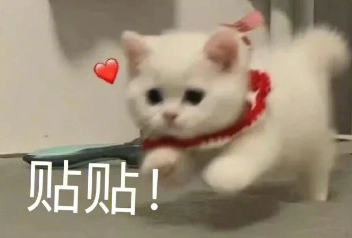 表情