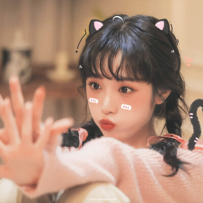 Yena·「可爱小猫꒰ఎ(^ . ֑ .^)໒꒱」