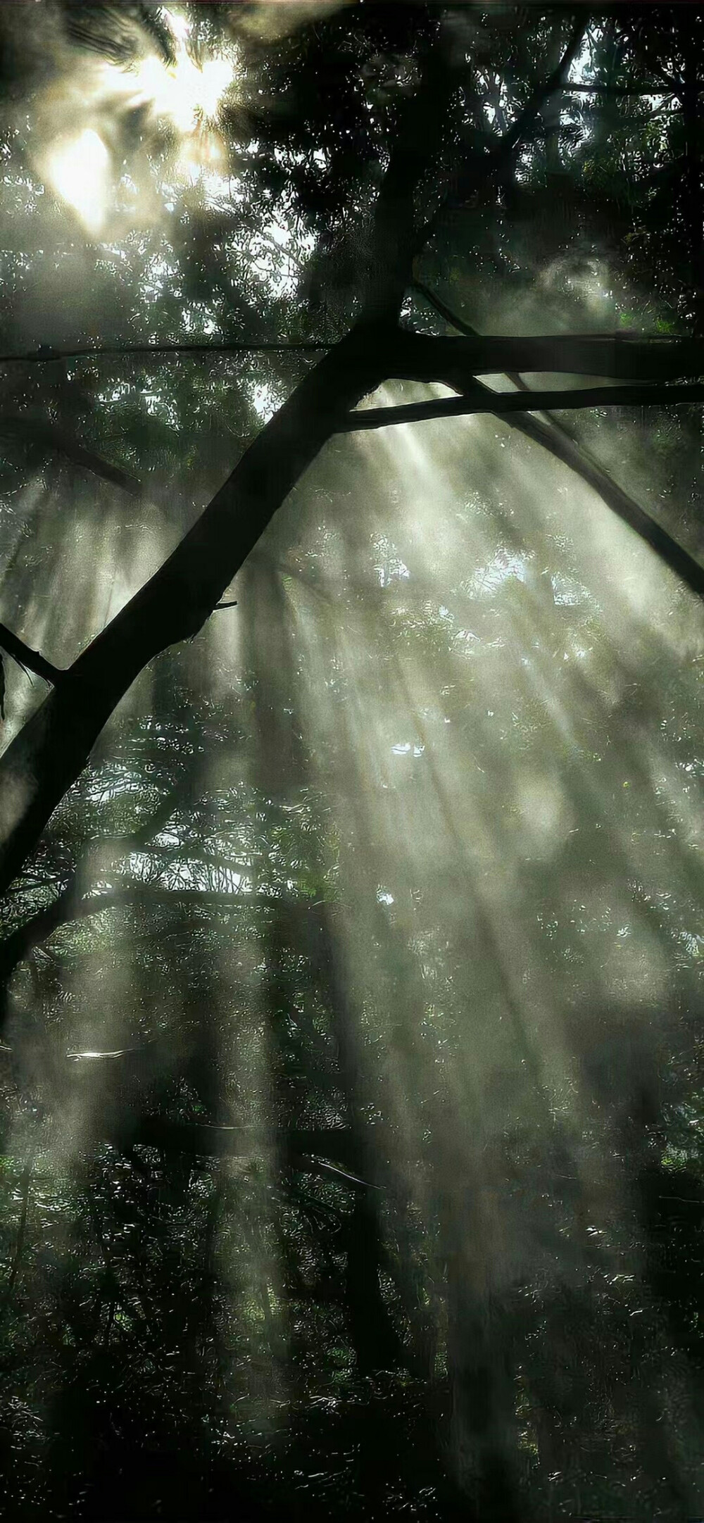 [ins风壁纸高清]
远征星辰大海，归来仍是少年