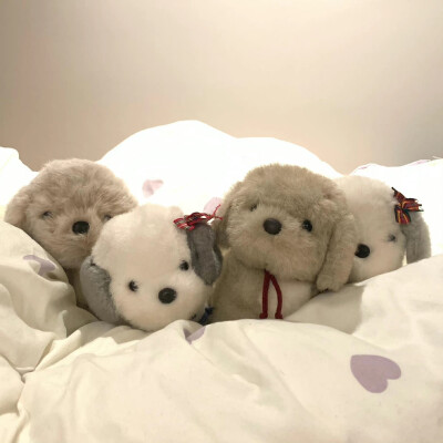 [朋友圈背景图ins风]
落日、微风、鸟叫、虫鸣，是夏天最舒服的组合了