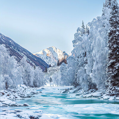 [朋友圈背景图ins风]
而雪无穷尽地落下，仿佛誓要染白此世