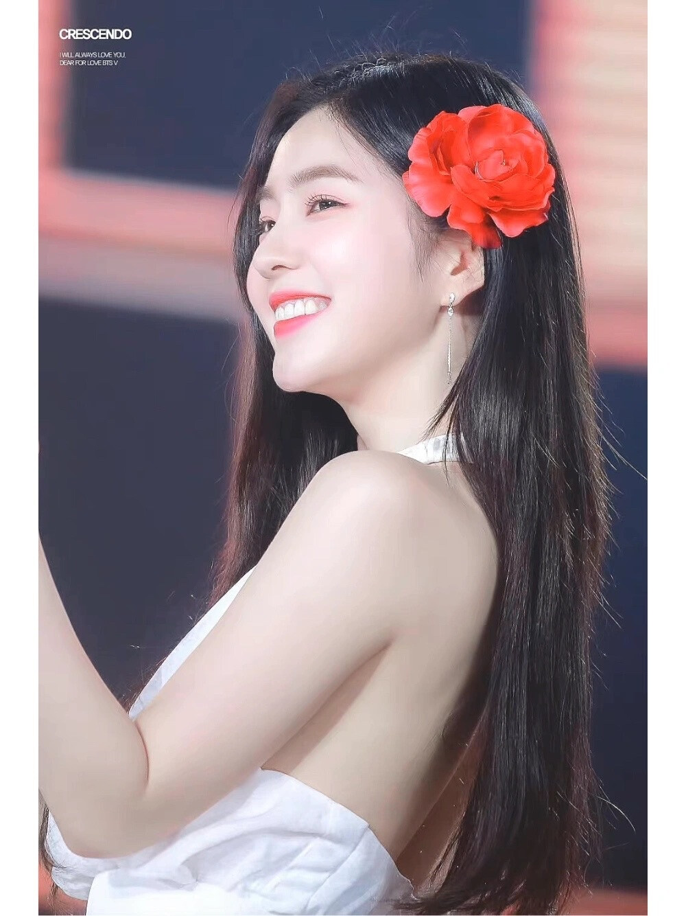 裴珠泫 の 壁纸
/图源见logo ​​​侵删