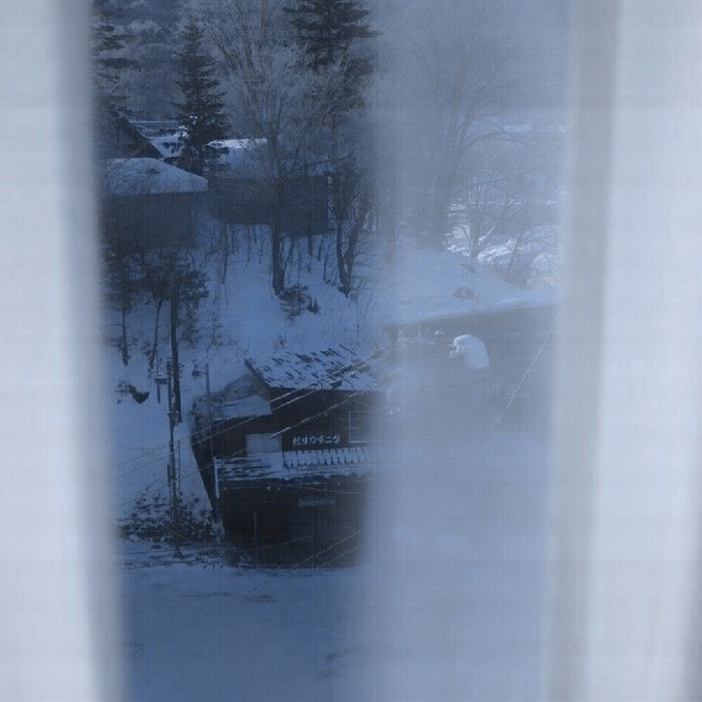 什么是玫瑰？为了被斩首而生长的头颅