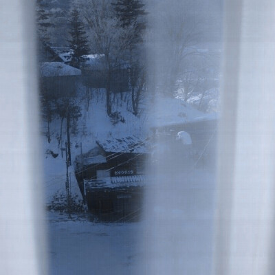 什么是玫瑰？为了被斩首而生长的头颅