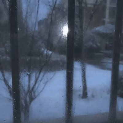 什么是玫瑰？为了被斩首而生长的头颅