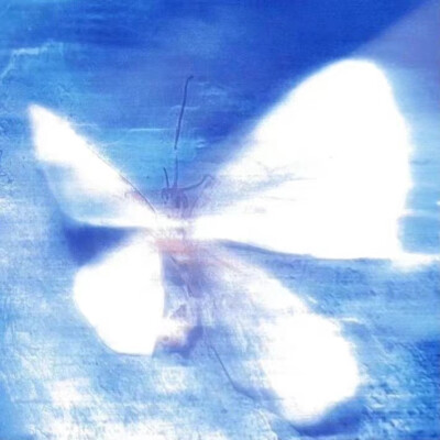 [朋友圈背景图ins风]
小众的爱好不用在乎大众的眼光