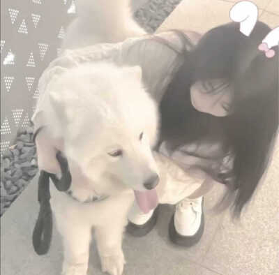 你十年等他丨我一生等你。