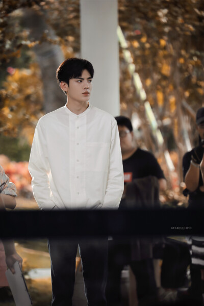 毕雯珺 世界微尘里 艾景初