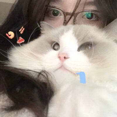 动物情头