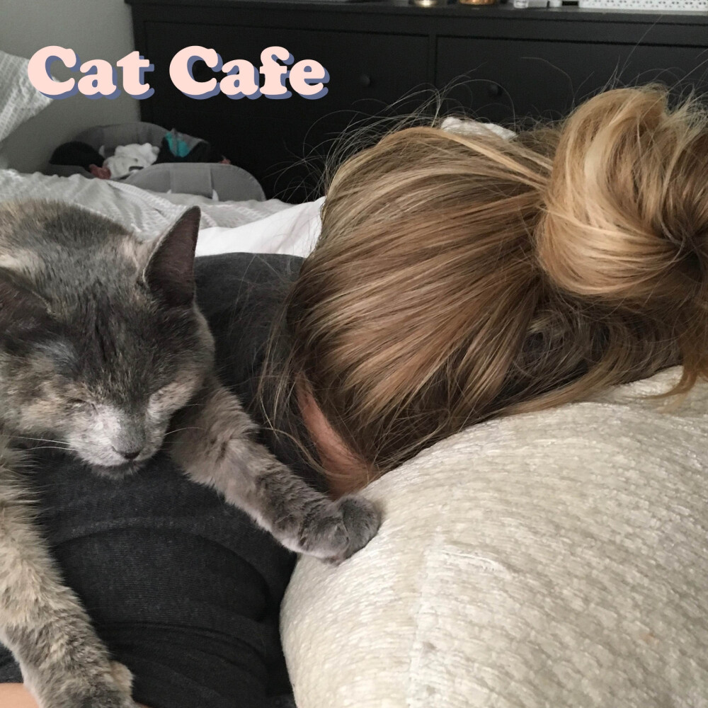 Cat Cafe
shoffy