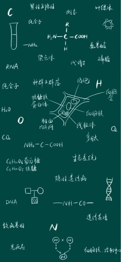 学习壁纸