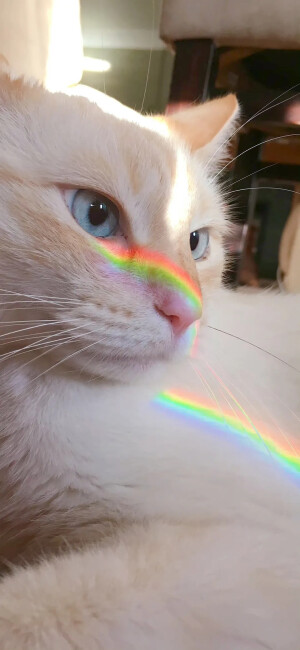 #如果有你陪我长大#