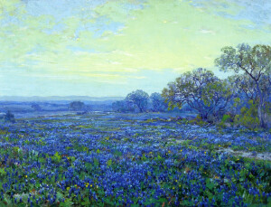 朱利安·德多克(Julian Onderdonk)

blue bonnets