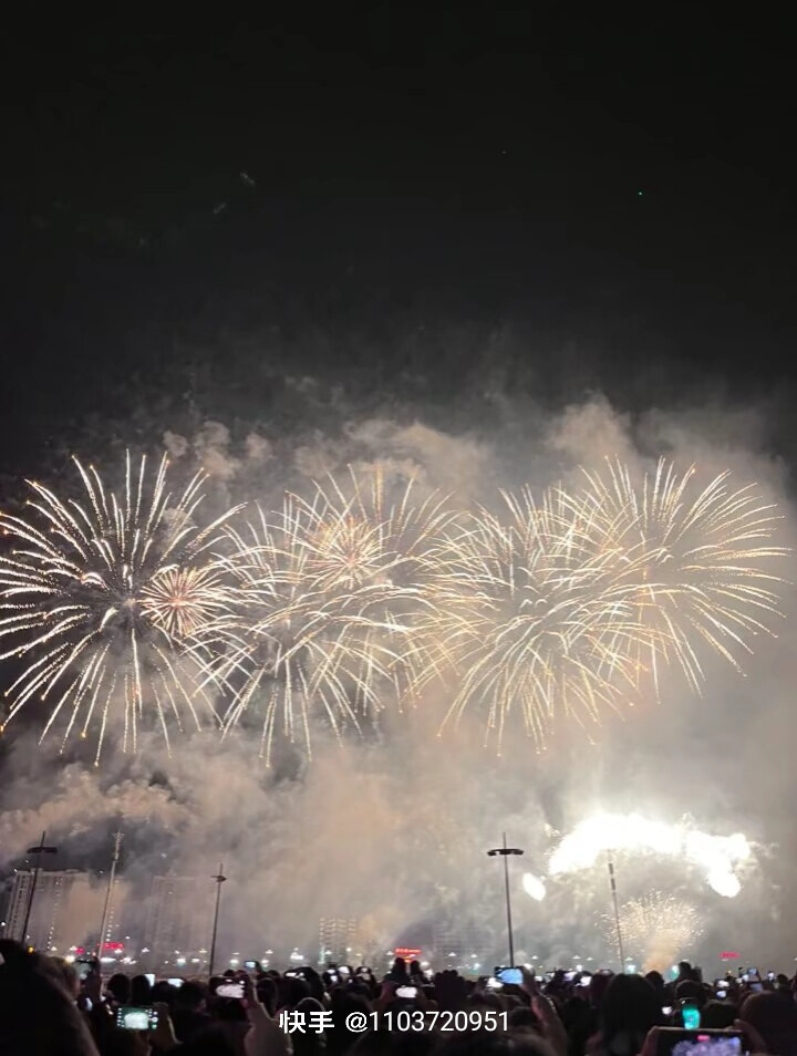 新年快乐！一起来看烟花啦