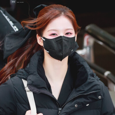 _iris_sy