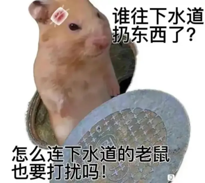 鼠鼠表情包