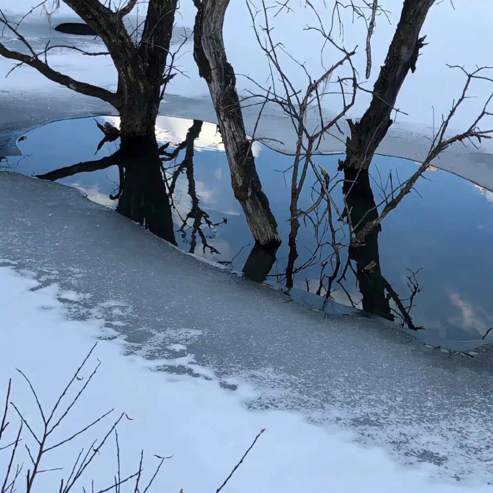 小众背景