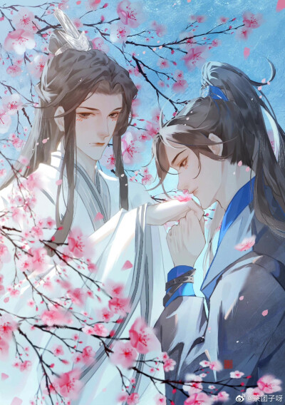 二哈和他的白猫师尊