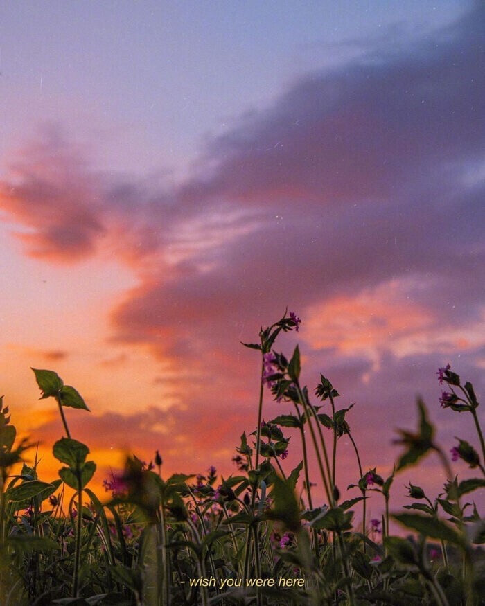 黄昏
夕阳
美景