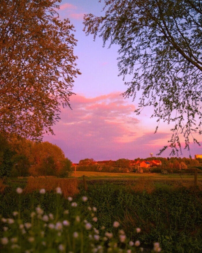 黄昏
夕阳
美景