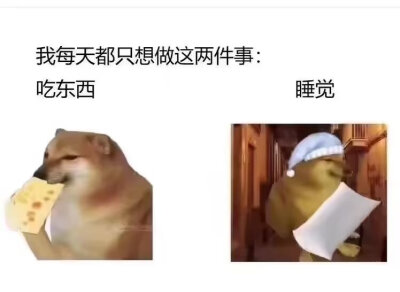 表情包