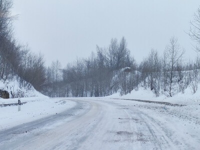 雪地