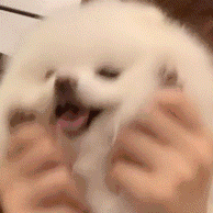 可爱表情包 ૮ ´͈ ᗜ `͈ ა♡
