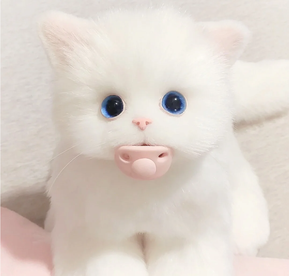 xhs：有猫病