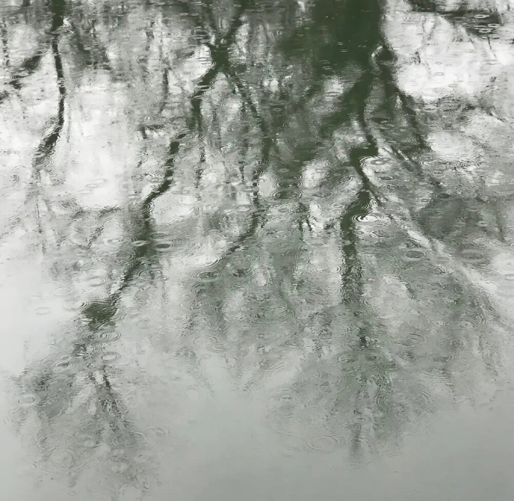 放下笔 和我逃出雨天