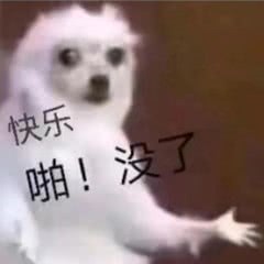 表情包，搞笑，可爱