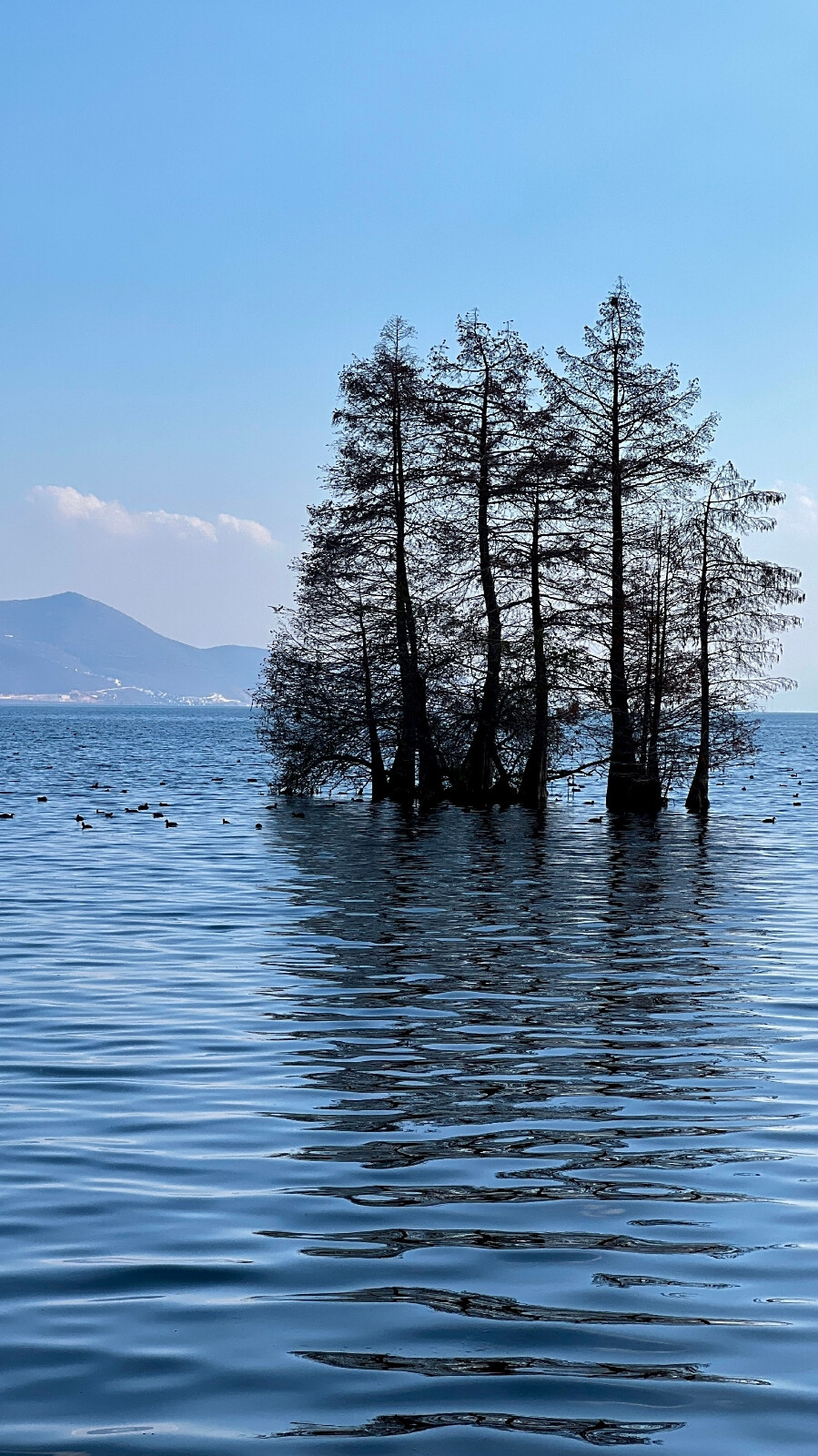 风景壁纸