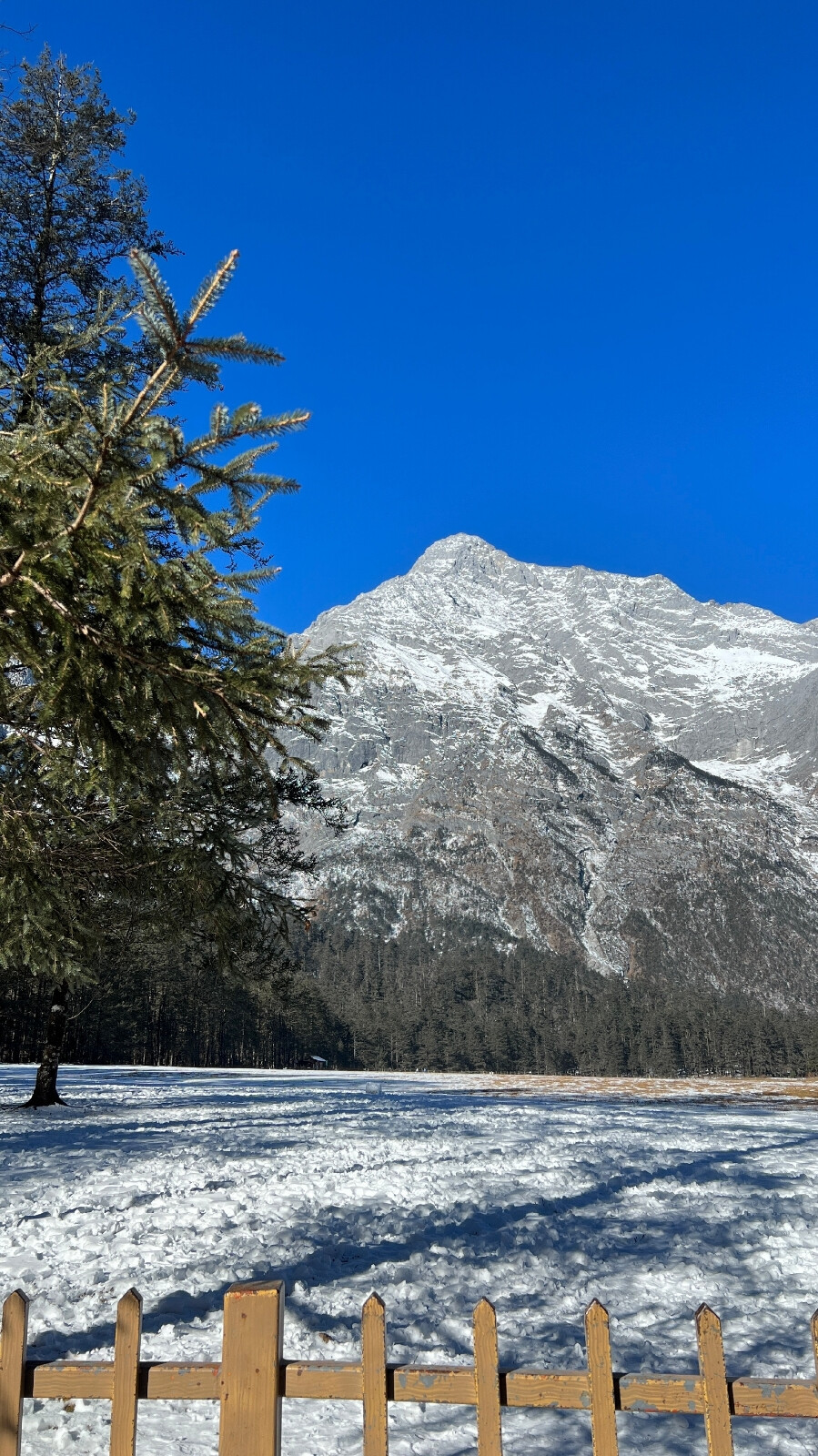 风景壁纸