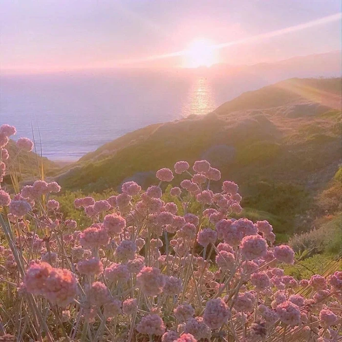 看夕阳永远可以舒缓心情˚‧*♡ॢ˃̶̤̀◡˂̶̤́♡ॢ*