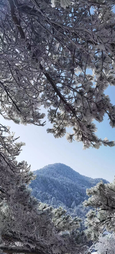 庐山雪景 壁纸 侵删