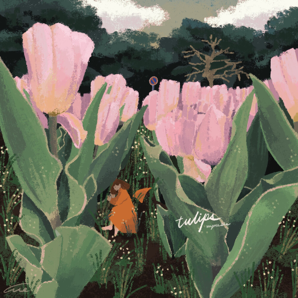 电脑壁纸，平板壁纸，4k高清壁纸