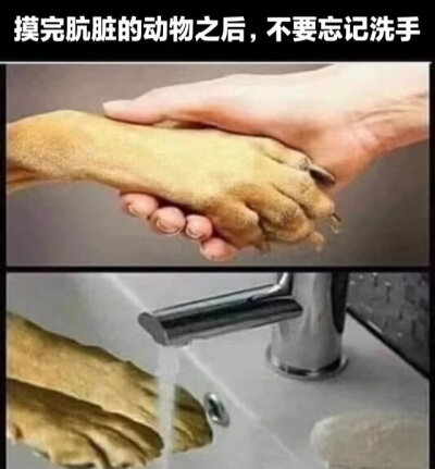 梗图