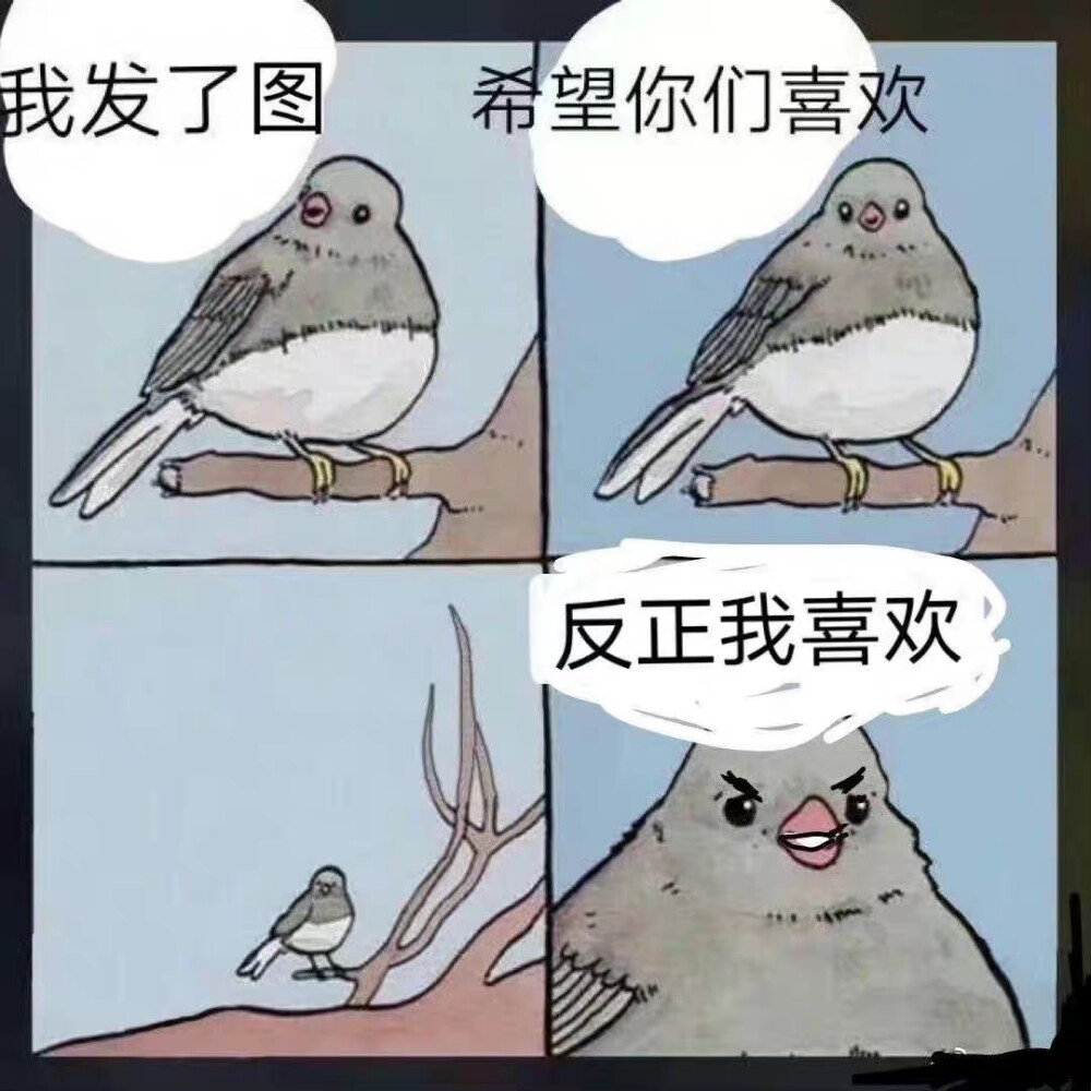 沙雕图